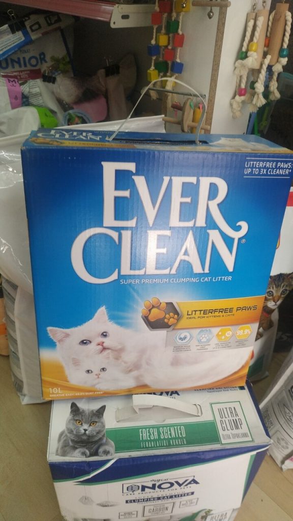 Ever Clean Patilere Yapışmayan Kedi Kumu